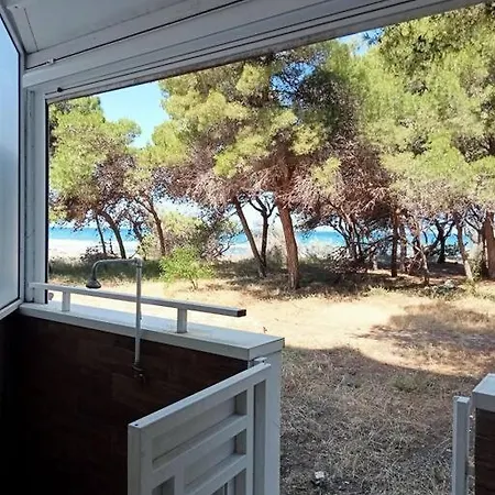 Piano Terra A 20 Passi Dal Mare *